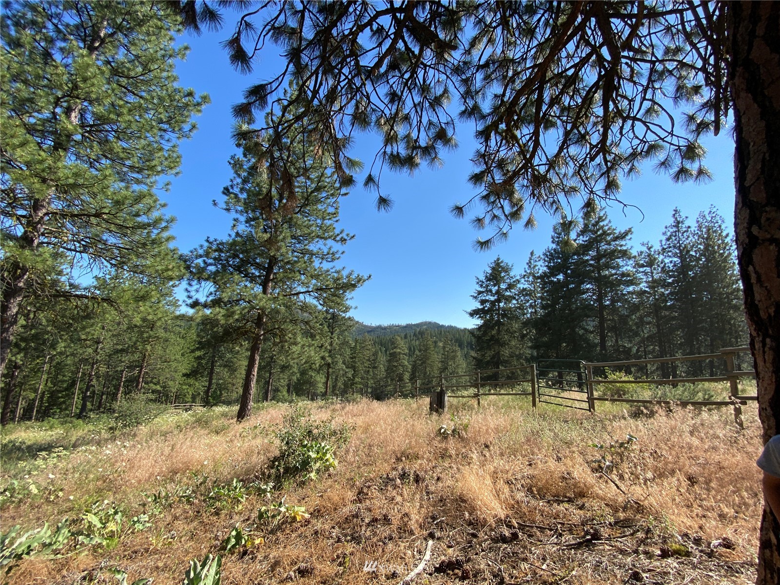 116 Nighthawk Ridge Road Winthrop, WA 98862 - Photo 26 of 38 Gallery Image 26