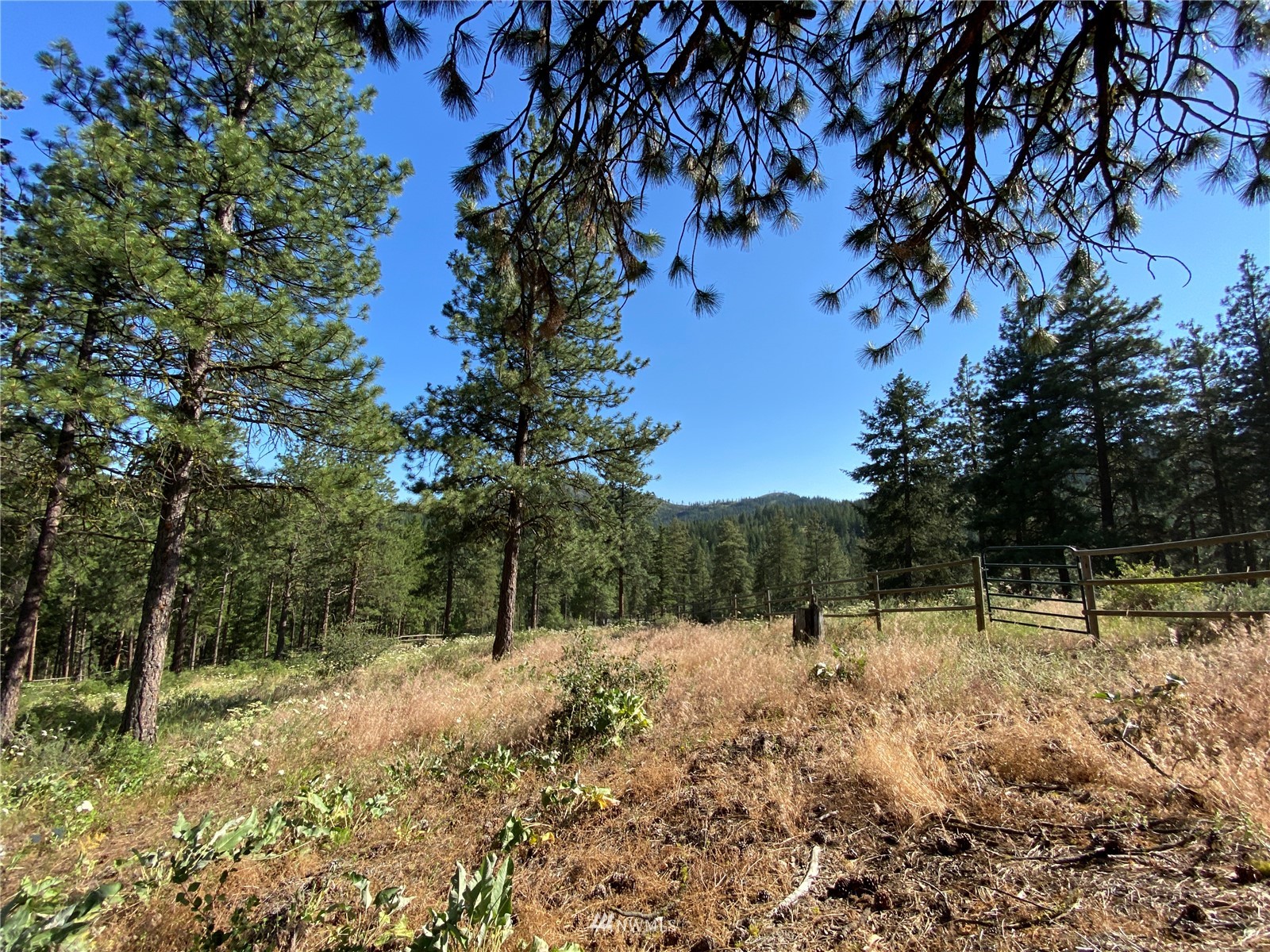 116 Nighthawk Ridge Road Winthrop, WA 98862 - Photo 27 of 38 Gallery Image 27