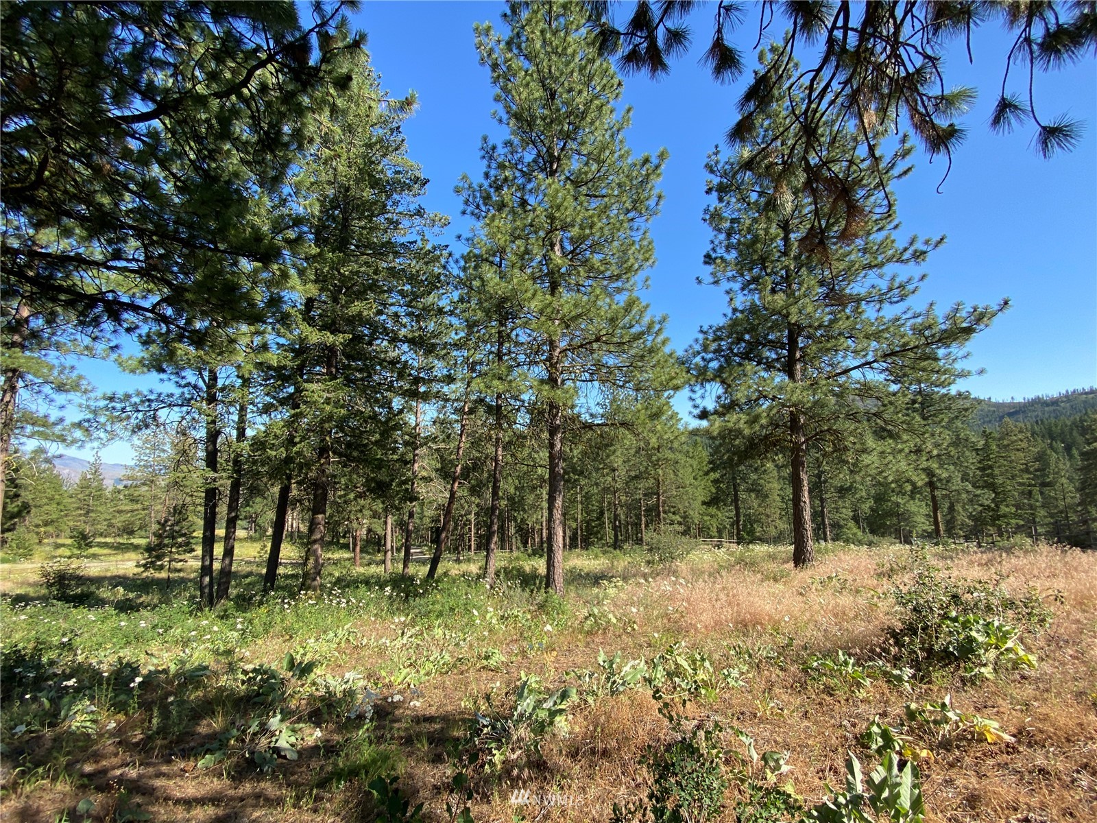 116 Nighthawk Ridge Road Winthrop, WA 98862 - Photo 28 of 38 Gallery Image 28
