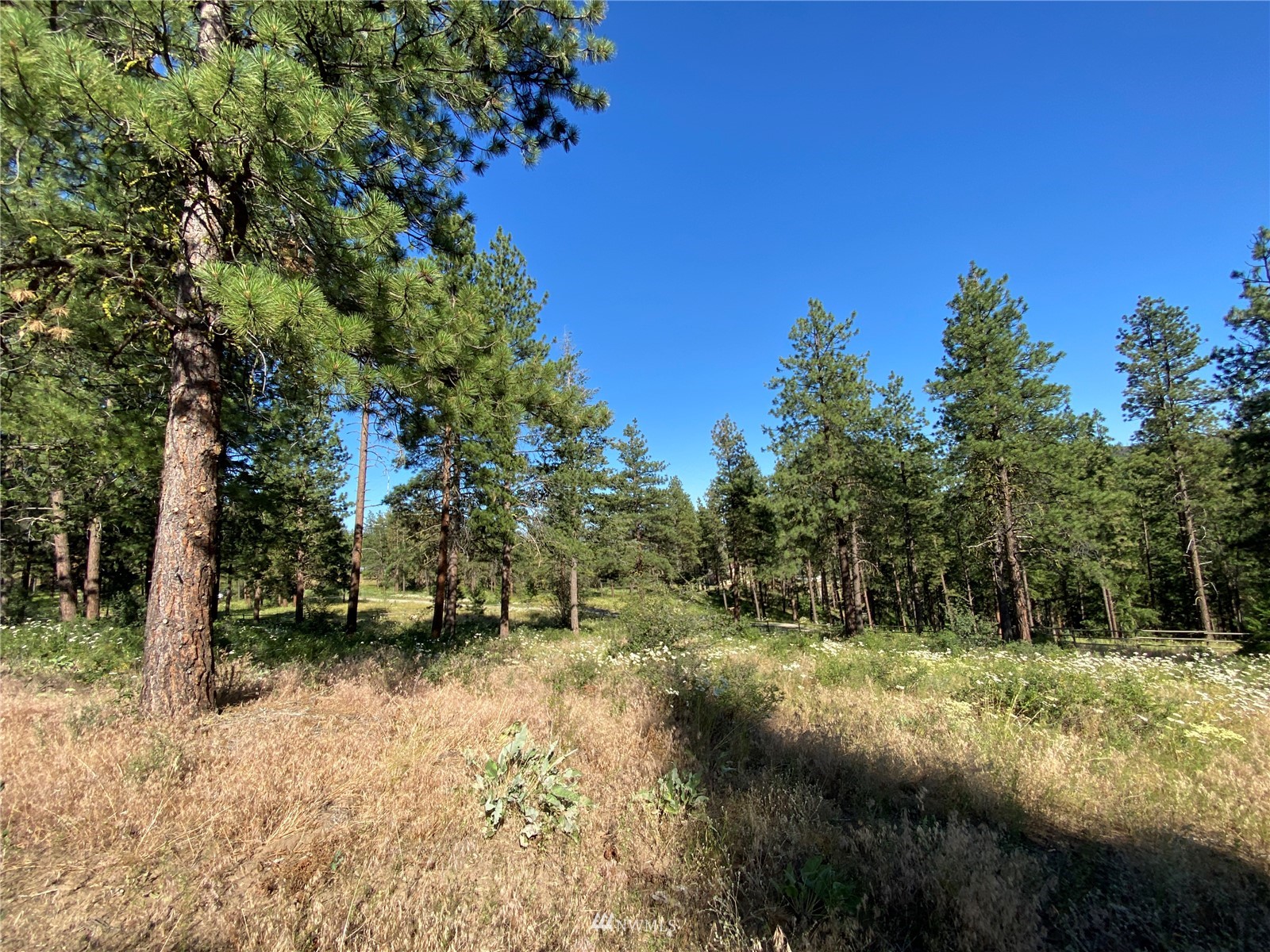 116 Nighthawk Ridge Road Winthrop, WA 98862 - Photo 29 of 38 Gallery Image 29