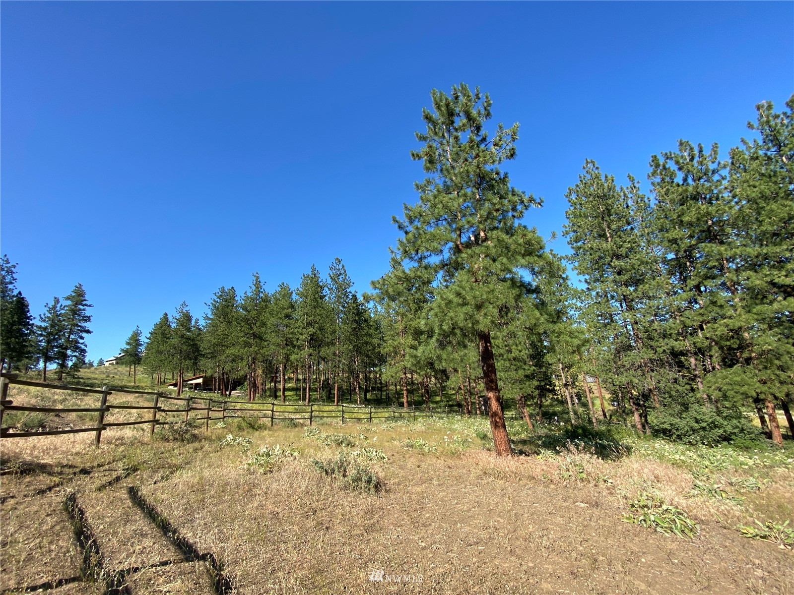 116 Nighthawk Ridge Road Winthrop, WA 98862 - Photo 3 of 38 Gallery Image 3