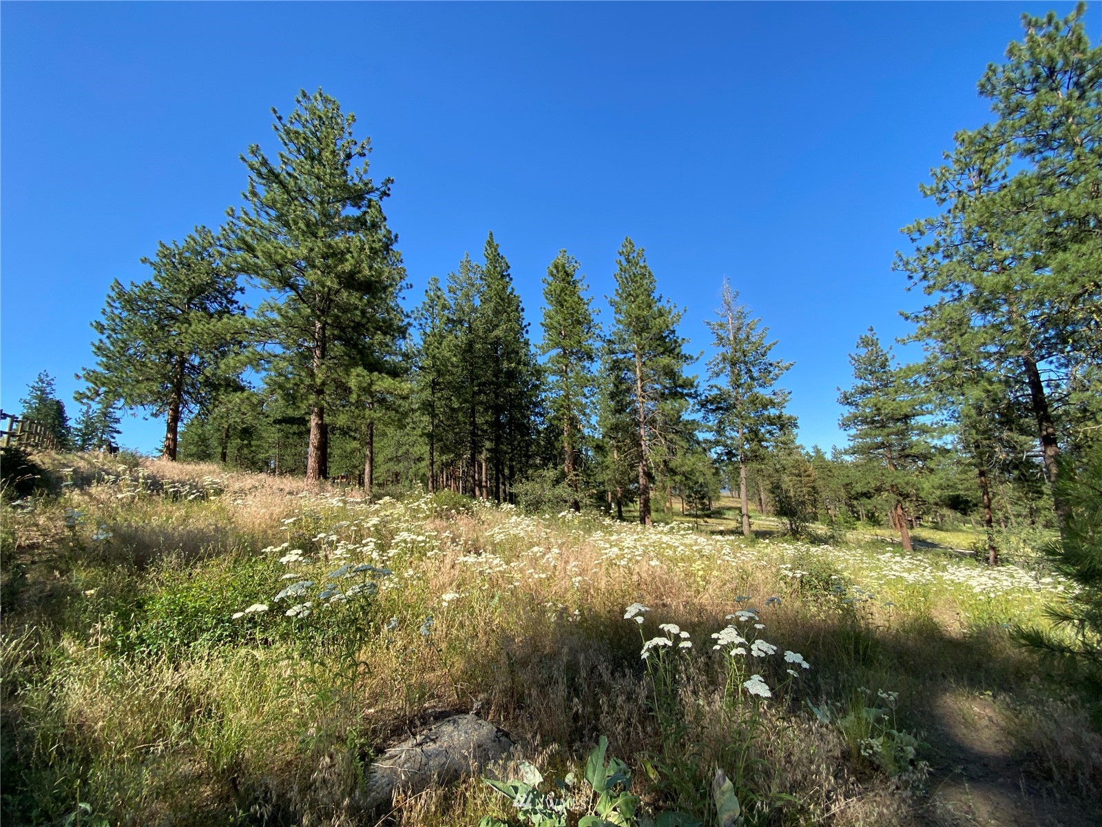 116 Nighthawk Ridge Road Winthrop, WA 98862 - Photo 32 of 38 Gallery Image 32