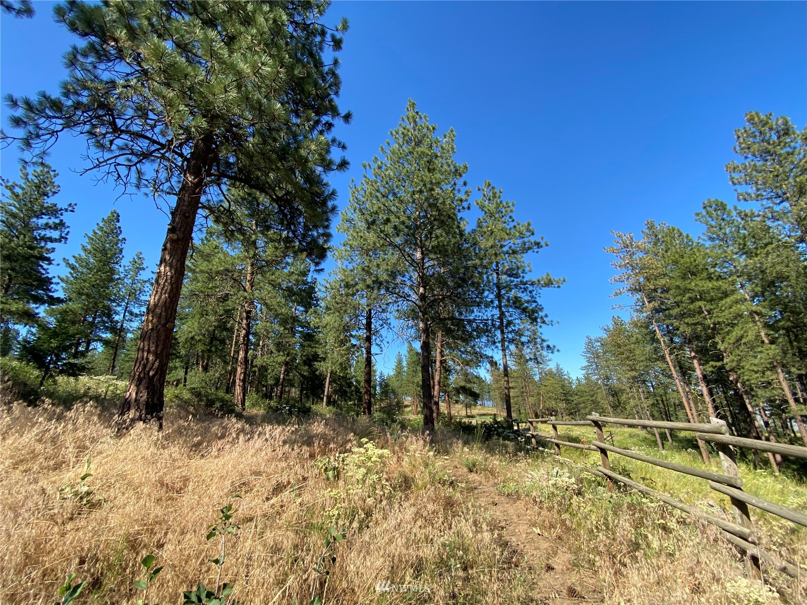116 Nighthawk Ridge Road Winthrop, WA 98862 - Photo 33 of 38 Gallery Image 33