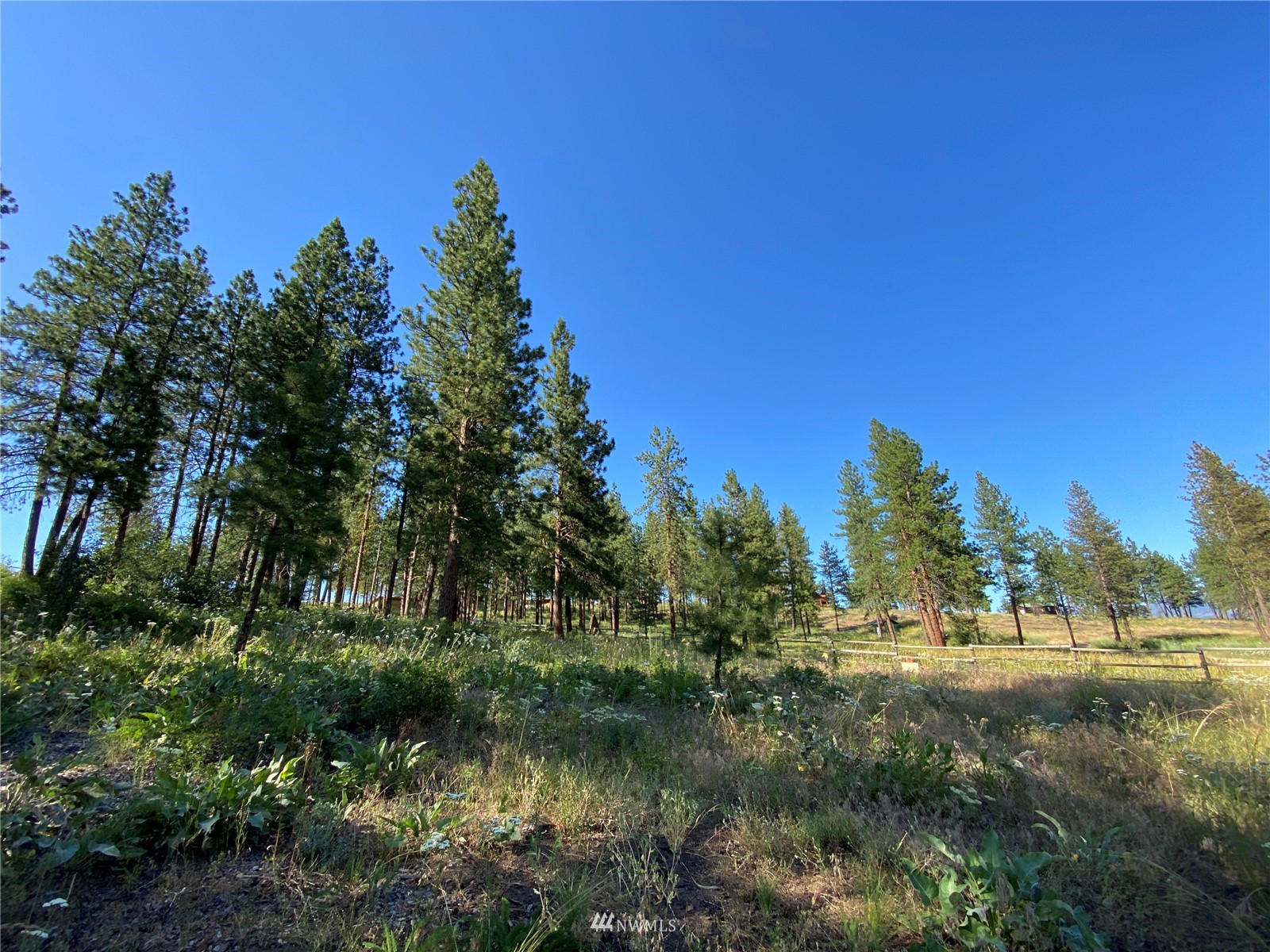 116 Nighthawk Ridge Road Winthrop, WA 98862 - Photo 34 of 38 Gallery Image 34