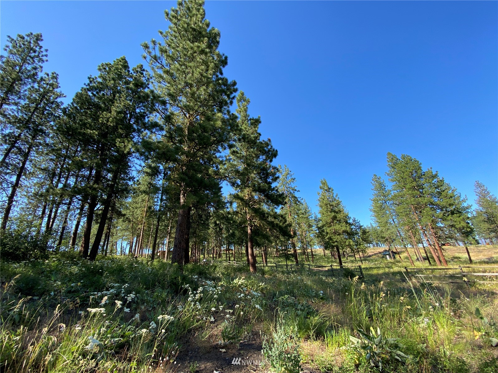 116 Nighthawk Ridge Road Winthrop, WA 98862 - Photo 35 of 38 Gallery Image 35