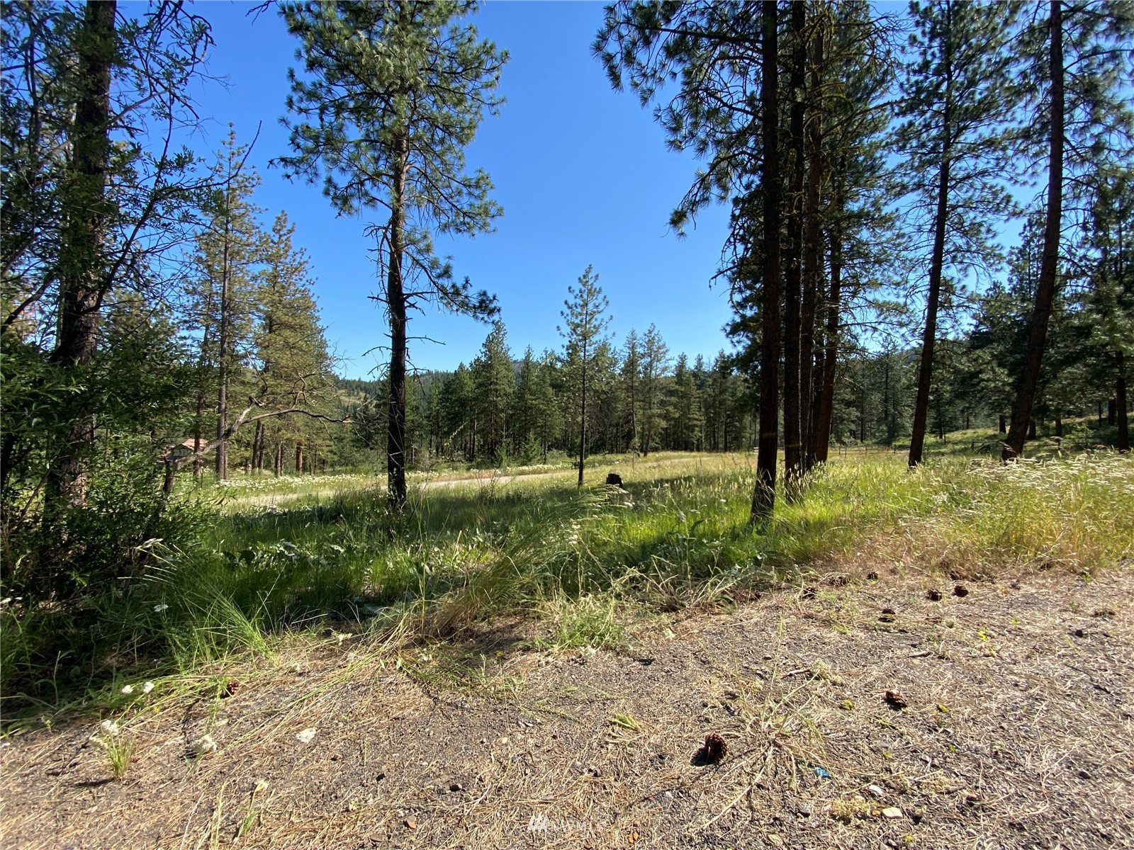 116 Nighthawk Ridge Road Winthrop, WA 98862 - Photo 5 of 38 Gallery Image 5
