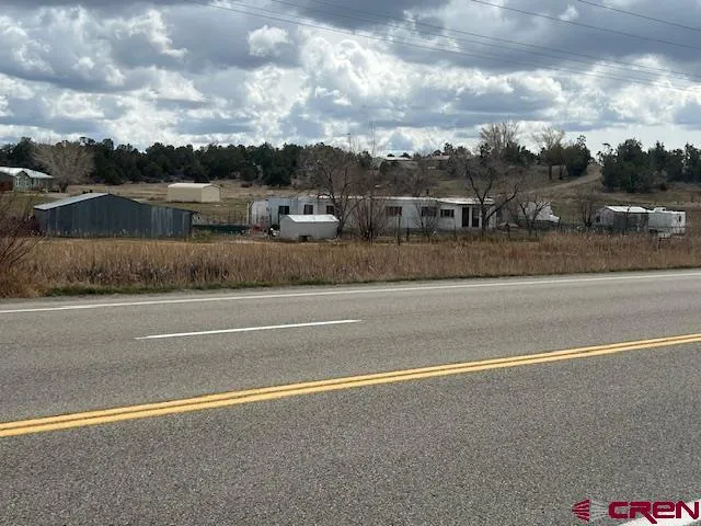 a view of a yard with large trees