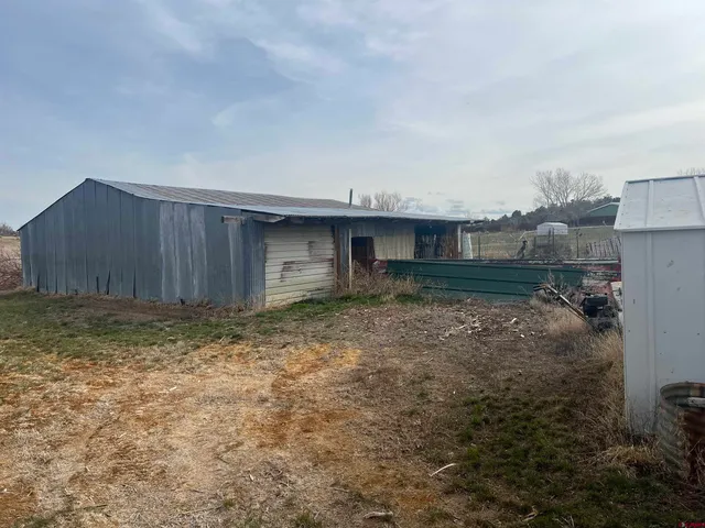 a view of a yard with a large tree