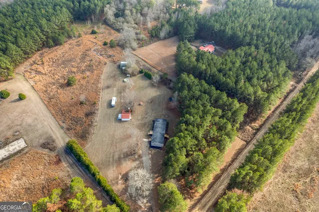 a view of a yard with plants and a bench