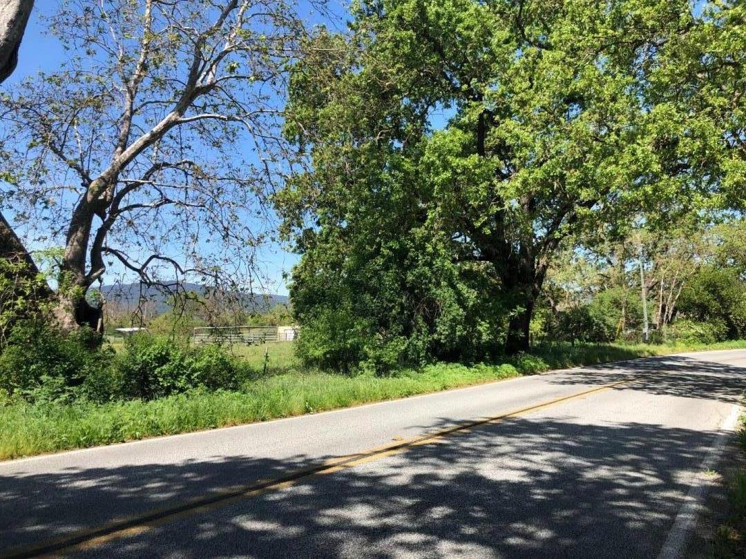 8165 Burchell Road Gilroy, CA 95020 - Photo 5 of 11 a view of a road with a yard