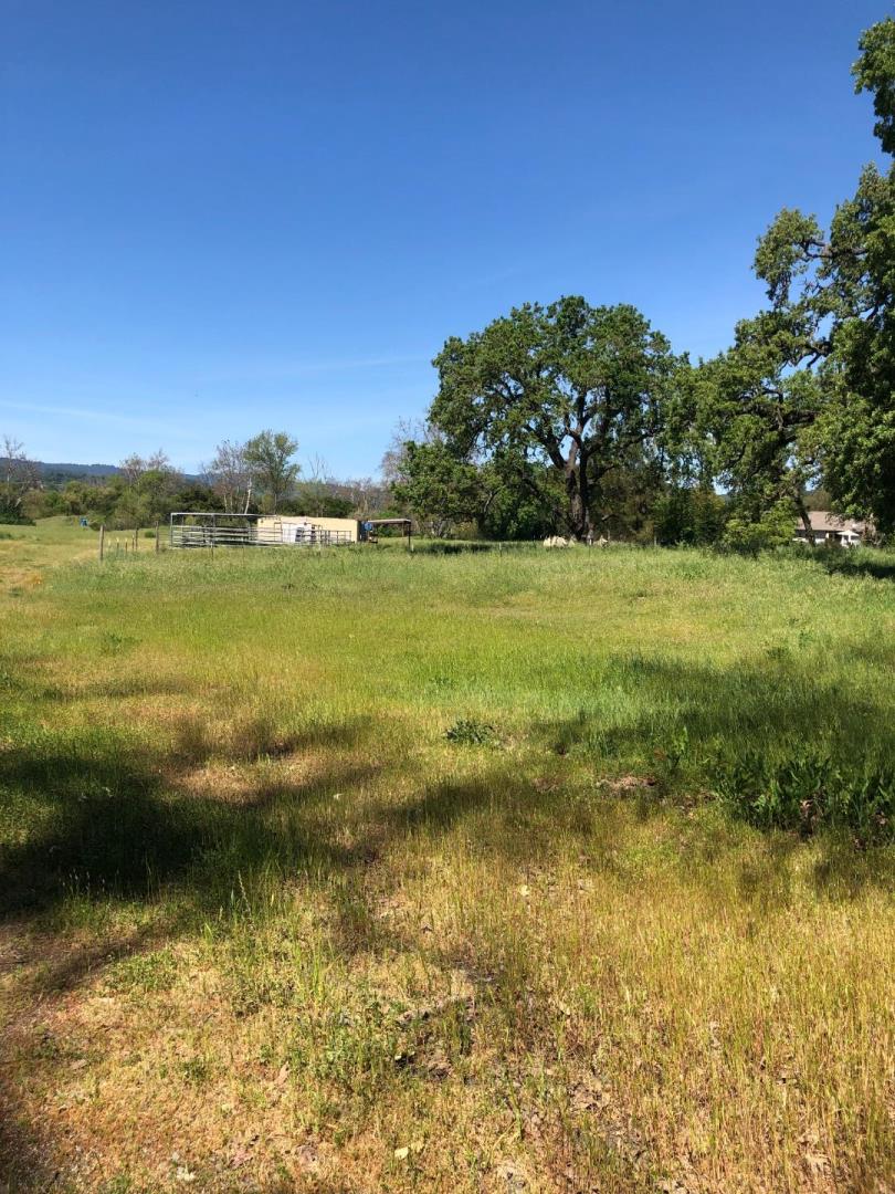 8165 Burchell Road Gilroy, CA 95020 - Photo 9 of 11 a view of an ocean from a yard