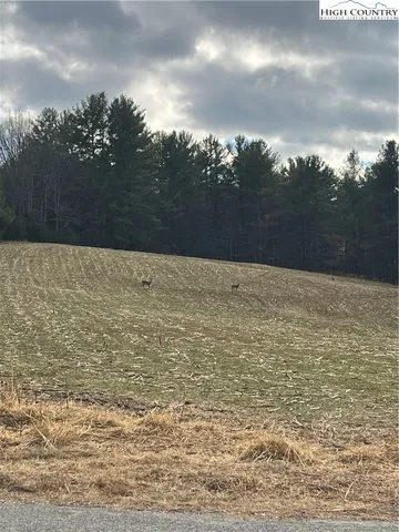 $10,000 | Lot 3 Silvia Lane, Piney Creek, NC 28663