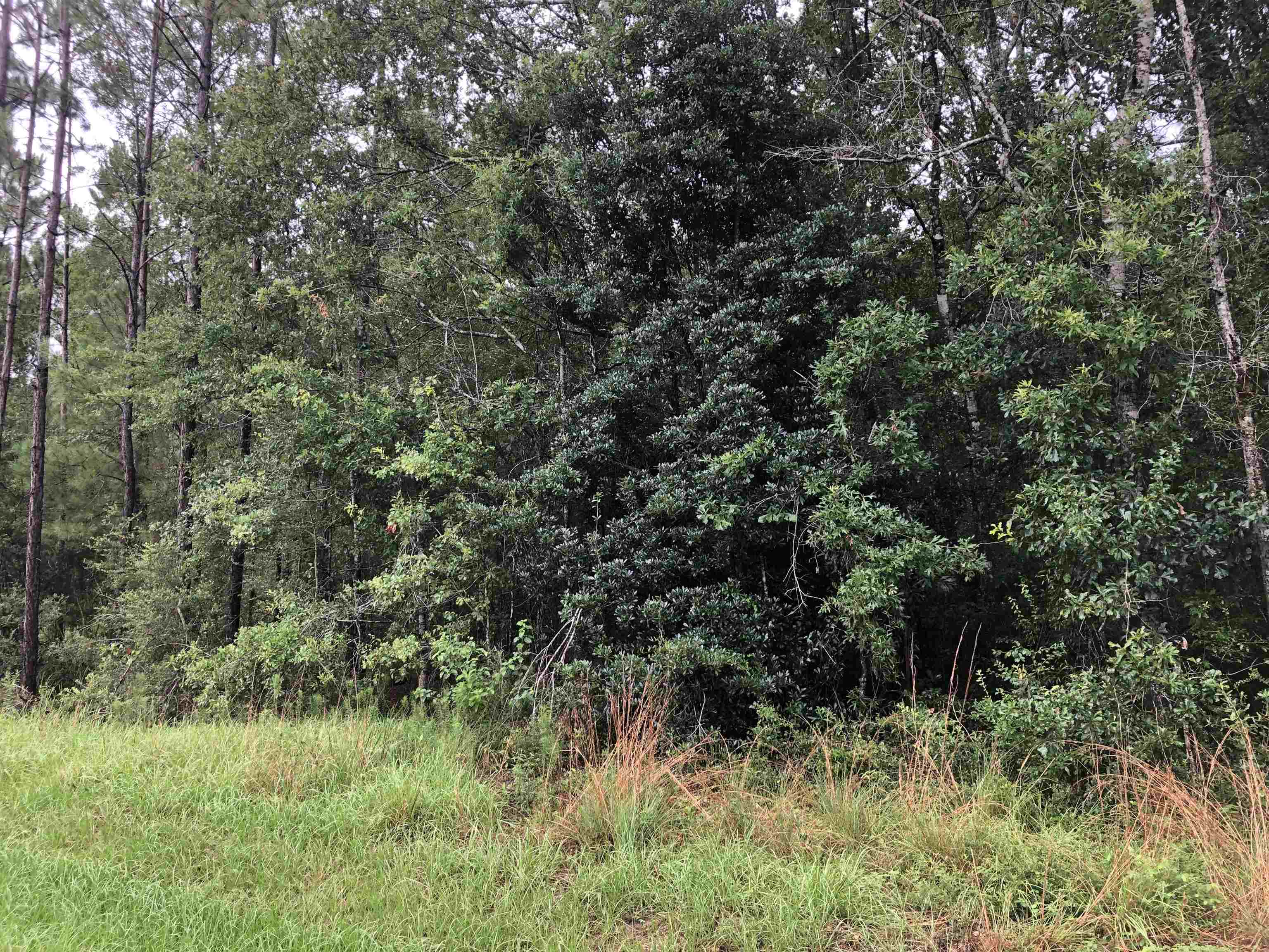 0 Wilson Road Elberta, AL 36530 - Photo 1 of 2