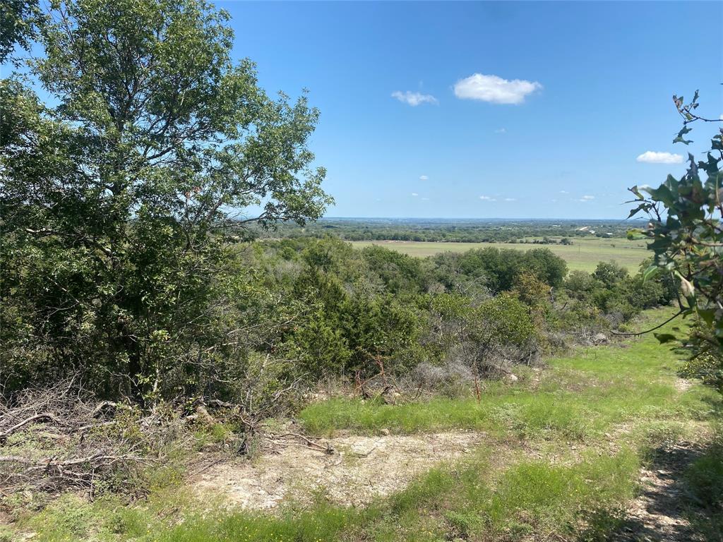 590 Fm Comanche, TX 76442 - Photo 12 of 21 a view of yard with green space