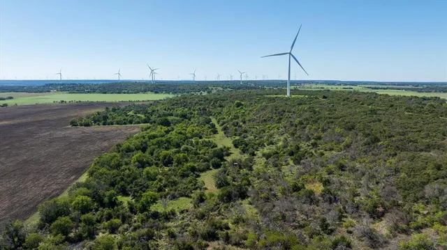 a view of a green field