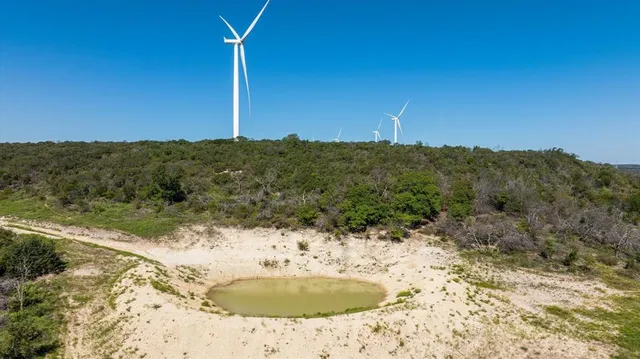 a view of a garden with a lake