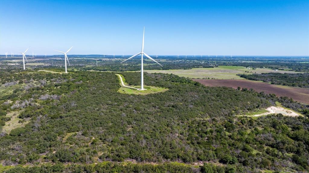 590 Fm Comanche, TX 76442 - Photo 21 of 21 a view of a garden with a lake