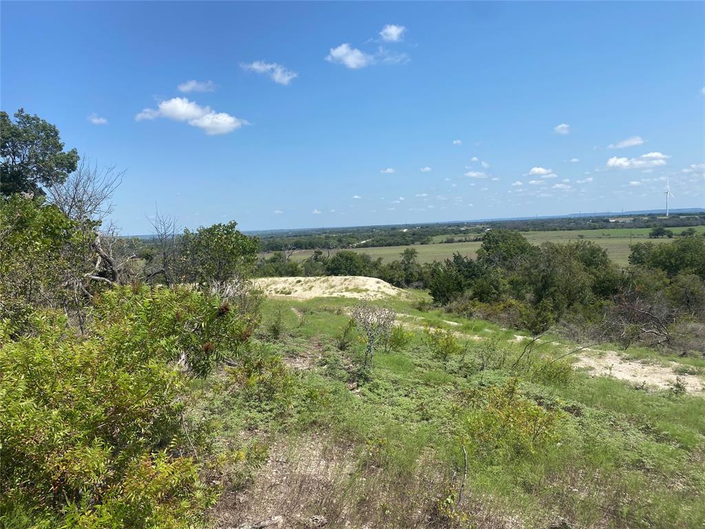 590 Fm Comanche, TX 76442 - Photo 9 of 21 a view of a green field with lots of bushes