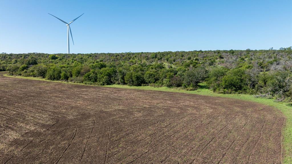 590 Fm Comanche, TX 76442 - Photo 10 of 21 a view of a field with trees in background
