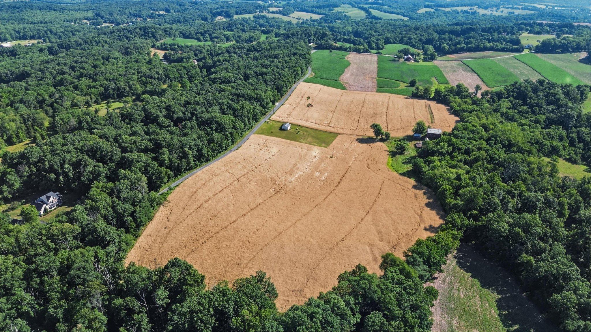 DJI_0538_autoremove_44755743