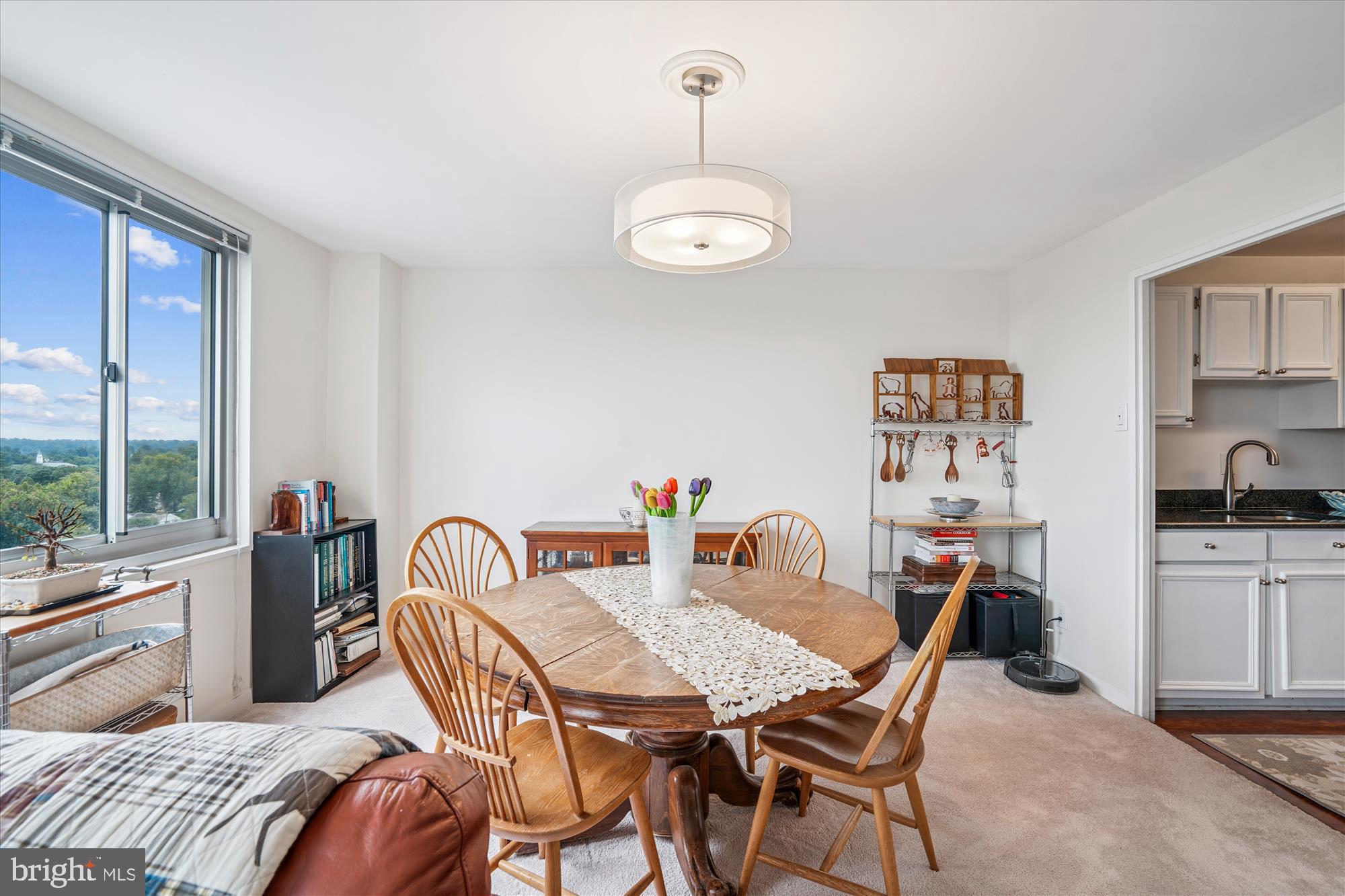1900 Lyttonsville Road, Unit 1308 Silver Spring, MD 20910 - Photo 12 of 52 Dining Room