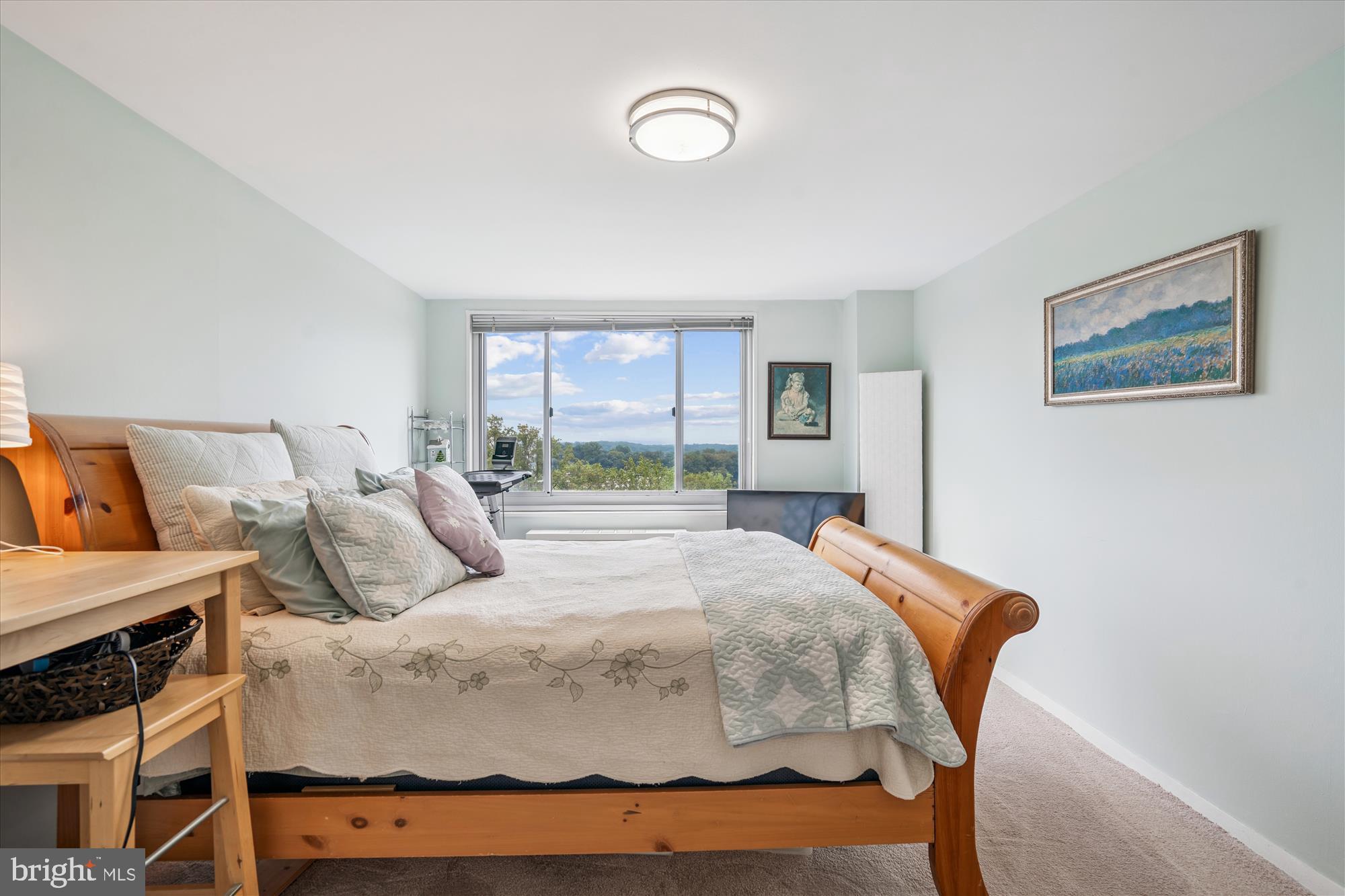 1900 Lyttonsville Road, Unit 1308 Silver Spring, MD 20910 - Photo 22 of 52 Primary Bedroom