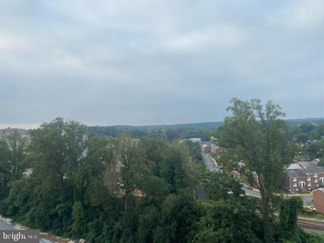 1900 Lyttonsville Road, Unit 1308 Silver Spring, MD 20910 - Photo 29 of 52