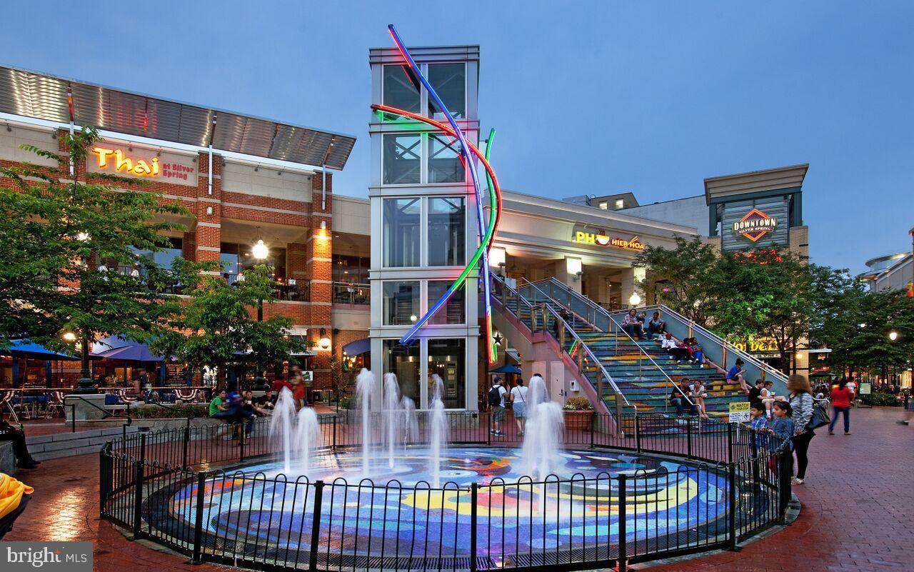 1900 Lyttonsville Road, Unit 1308 Silver Spring, MD 20910 - Photo 49 of 52 Downtown Silver Spring