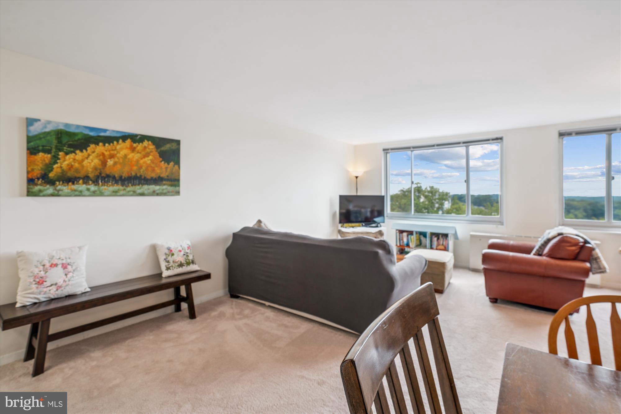 1900 Lyttonsville Road, Unit 1308 Silver Spring, MD 20910 - Photo 7 of 52 Living Room