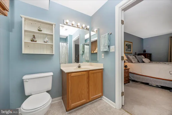 a bathroom with a sink a toilet and a mirror