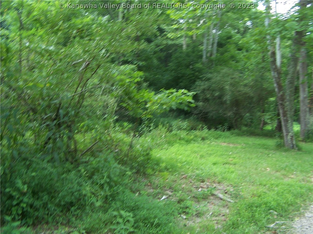 0 Sandhill Road Point Pleasant, WV 25550 - Photo 7 of 9 Gallery Image 7