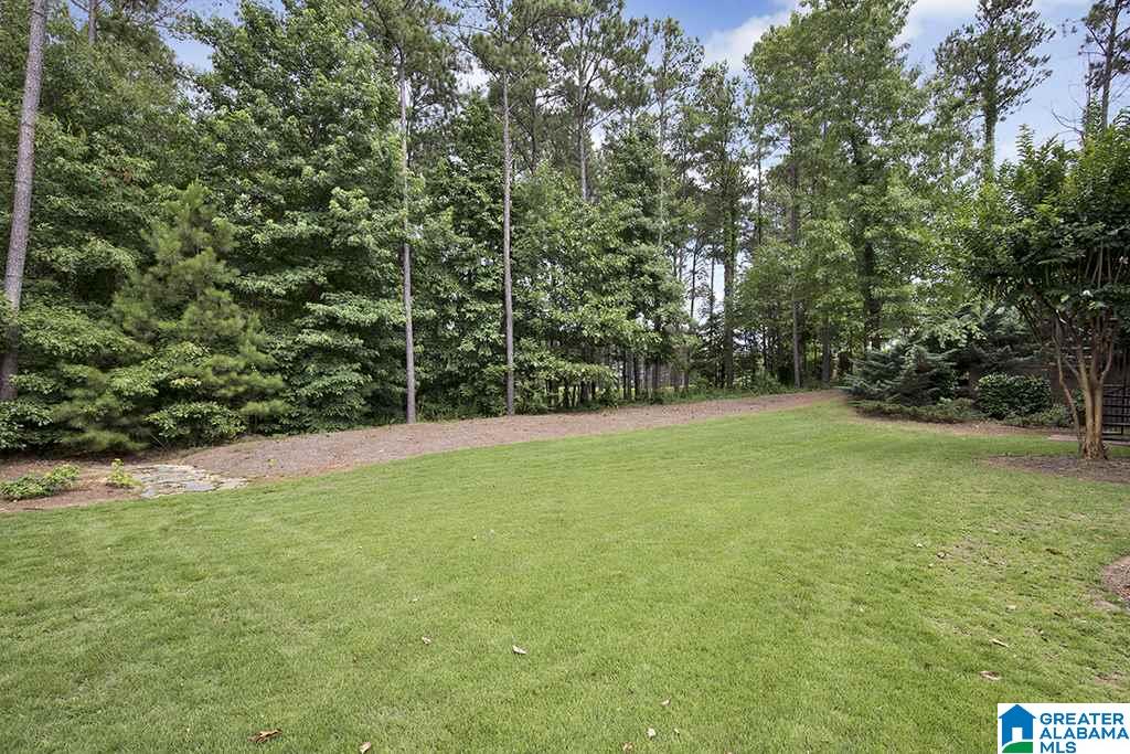 3924 Butler Springs Way Birmingham, AL 35226 - Photo 47 of 50