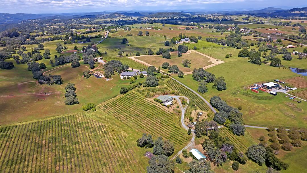 10721 Shenandoah Road Plymouth, CA 95669 - Photo 43 of 48 an aerial view of residential houses with outdoor space