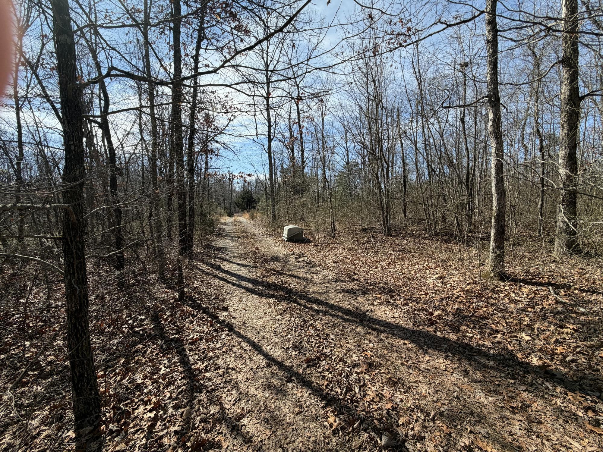 4872 Deer Run Road Pelham, TN 37366 - Photo 5 of 38 a view of a backyard with trees