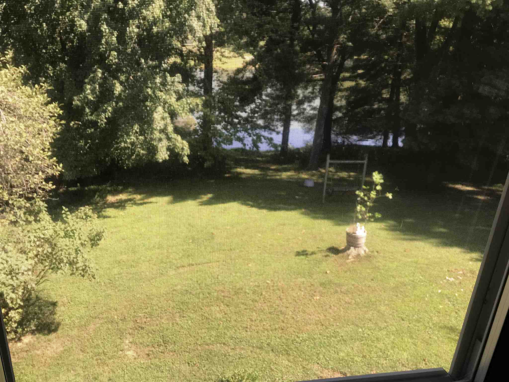 11601 Eichenberger Road Evansville, IN 47720 - Photo 11 of 33 Gallery Image 11
