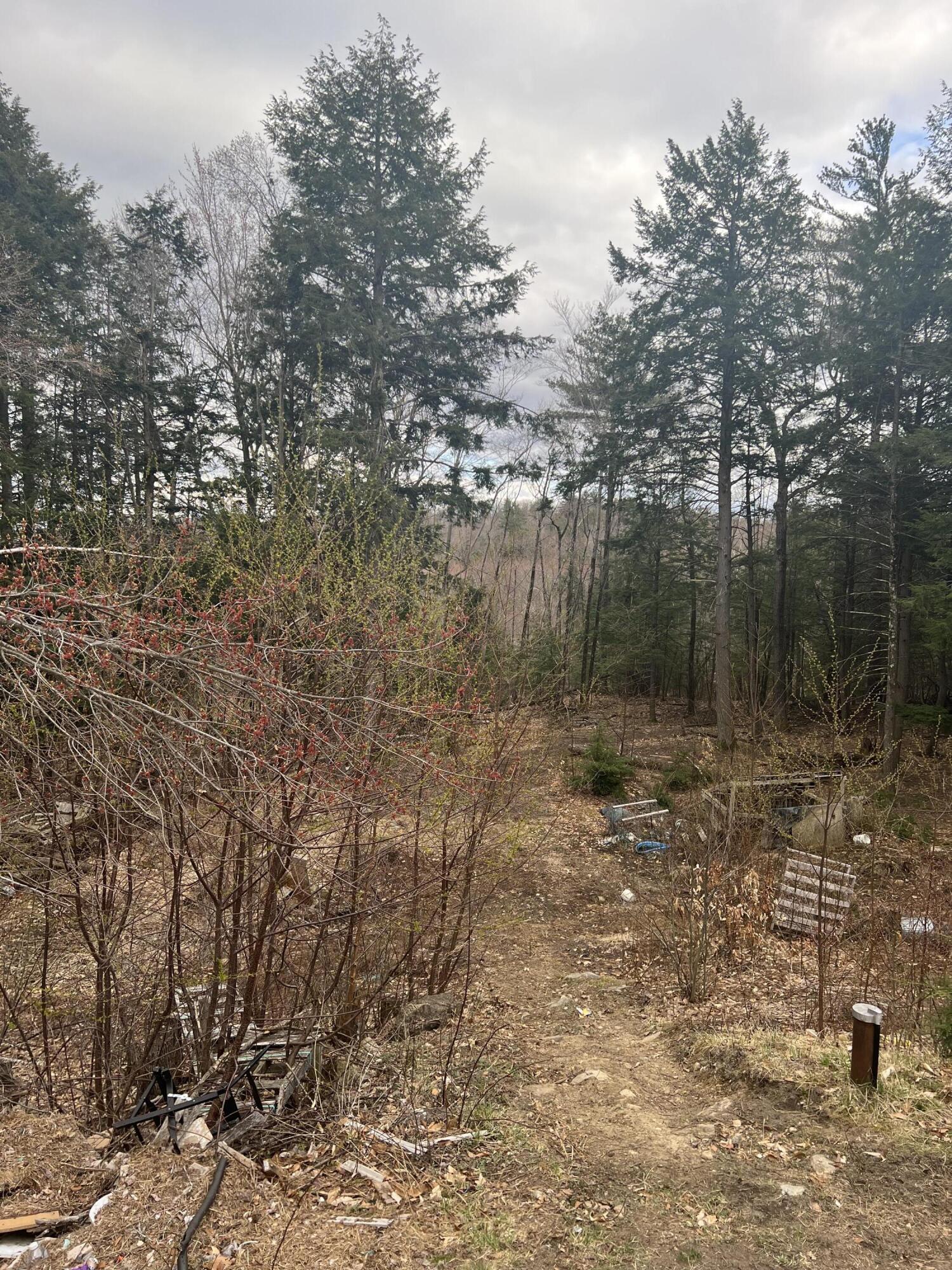 257 Hopper Road Acton, ME 04001 - Photo 11 of 41 IMG_7750