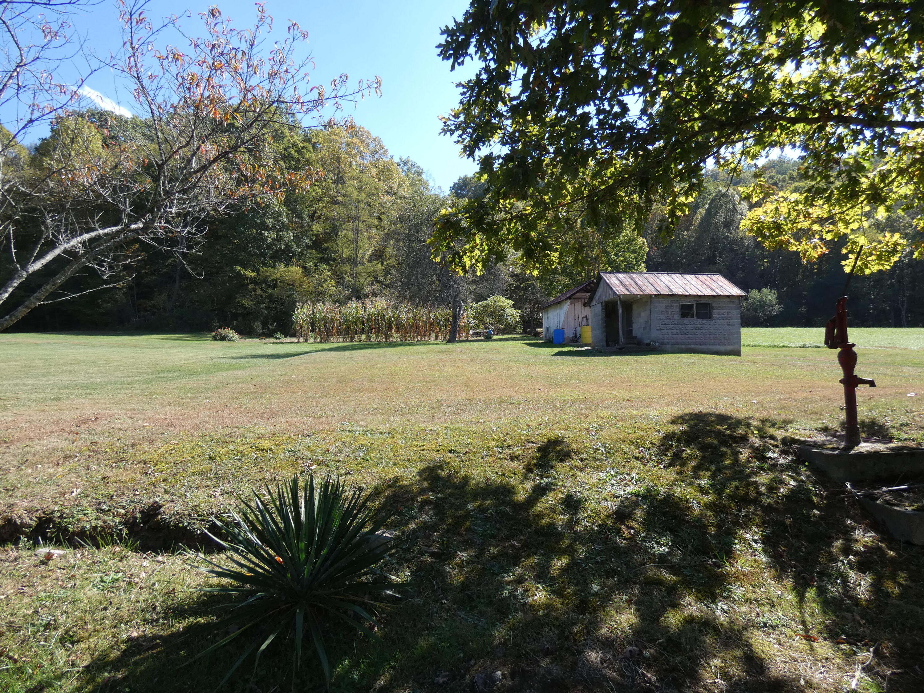 27514 Poor Valley Road Saltville, VA 24370 - Photo 23 of 78 P1070315