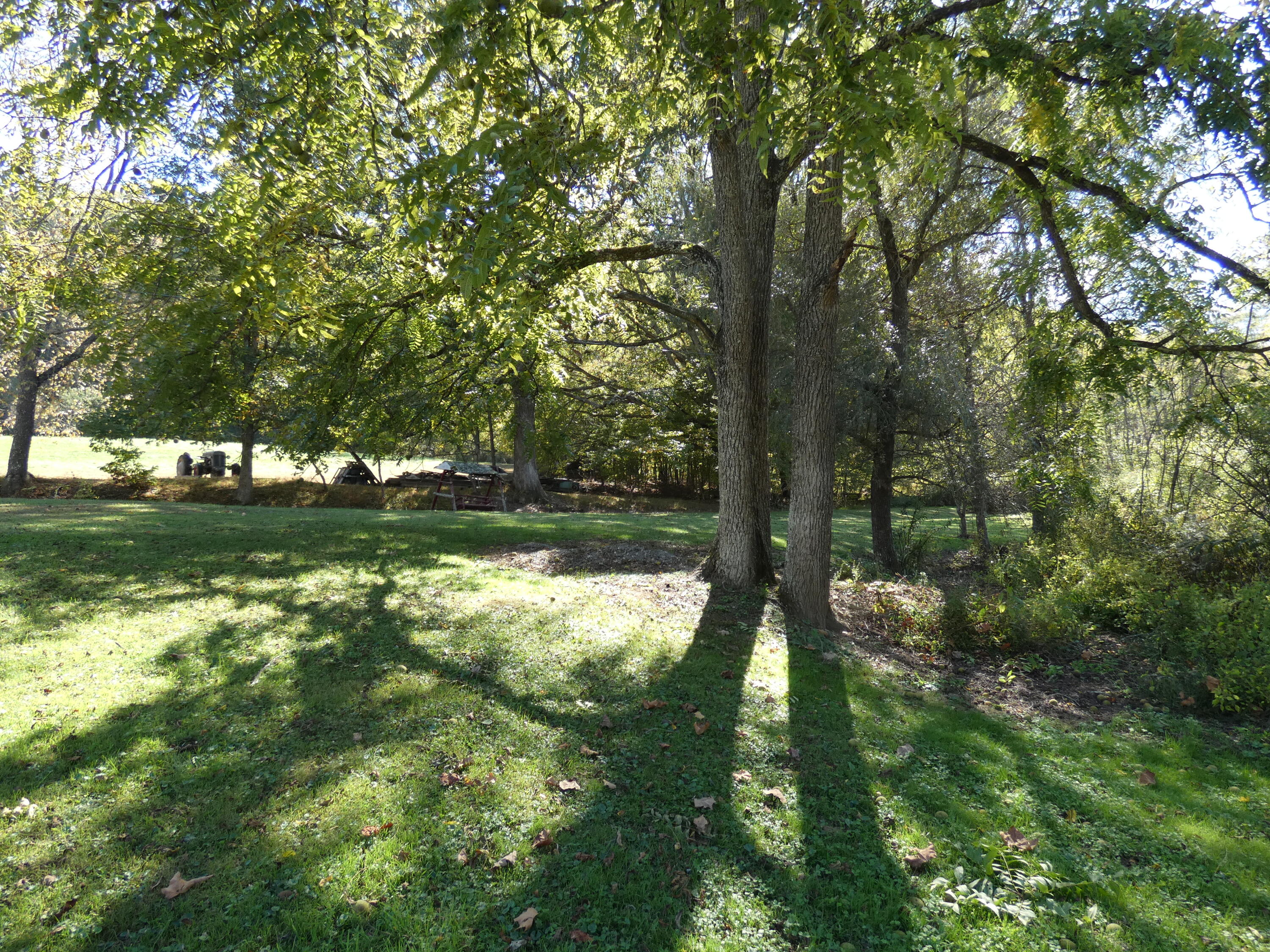 27514 Poor Valley Road Saltville, VA 24370 - Photo 32 of 78 P1070333
