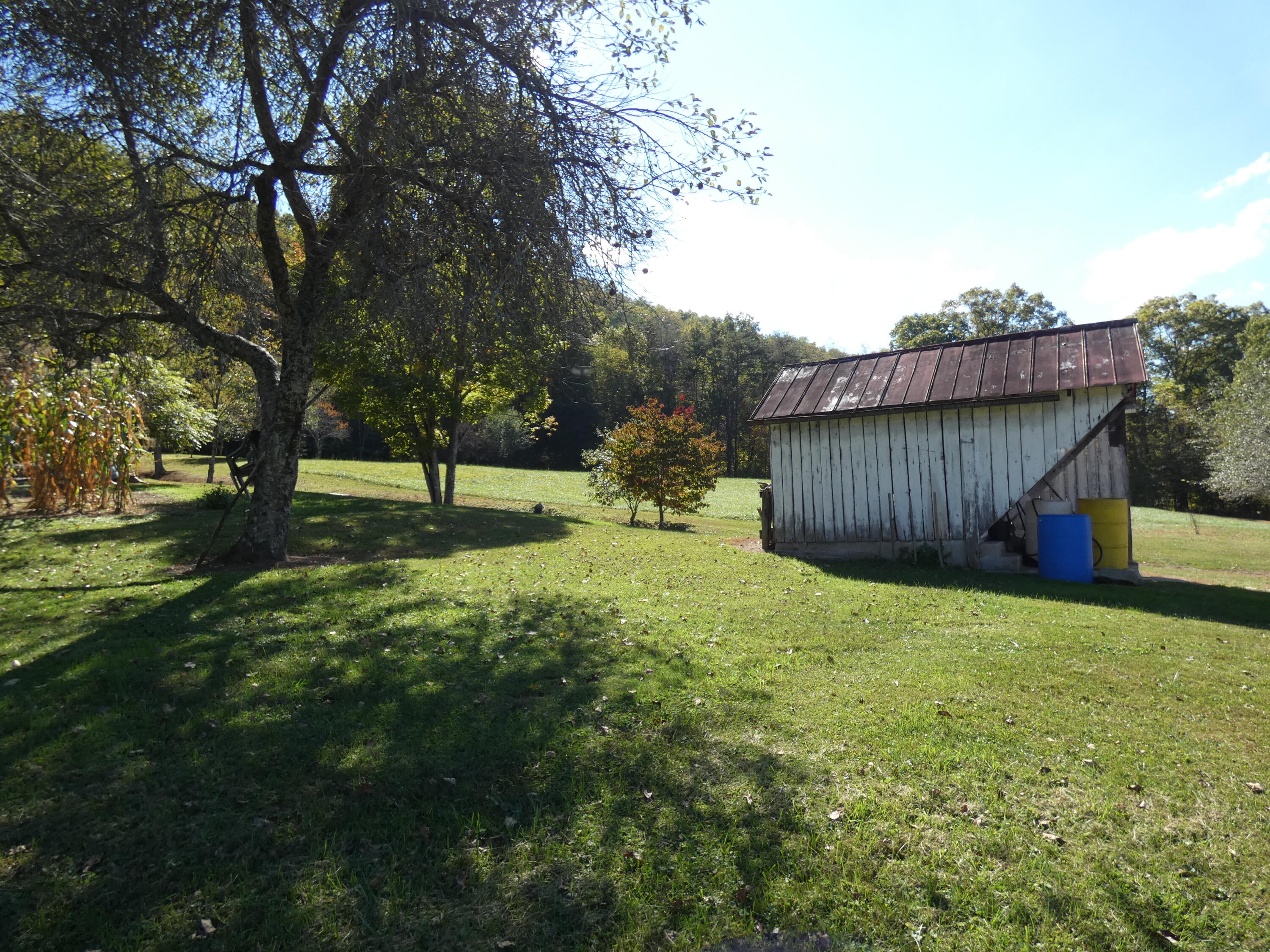 27514 Poor Valley Road Saltville, VA 24370 - Photo 44 of 78 P1070359