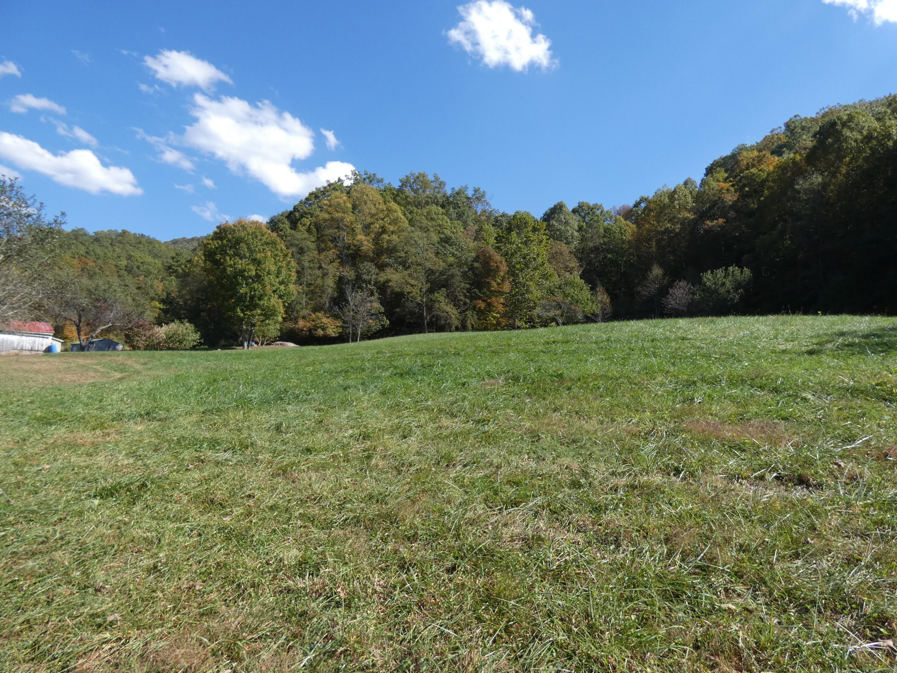 27514 Poor Valley Road Saltville, VA 24370 - Photo 7 of 78 backfieldside