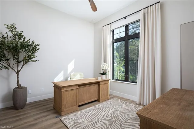 a living room with a couch and a potted plant