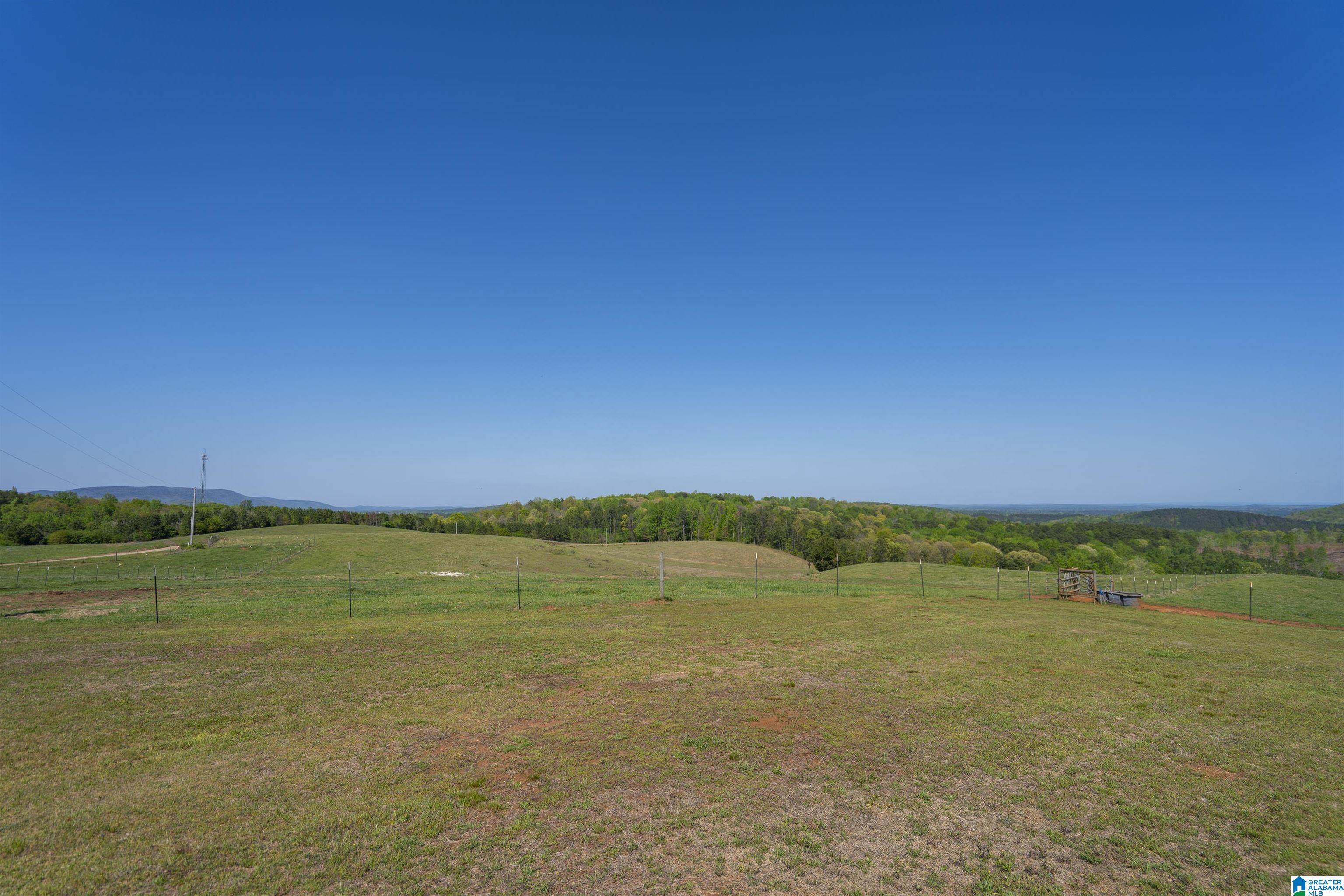 130 Kelly Road Ashland, AL 36251 - Photo 51 of 66