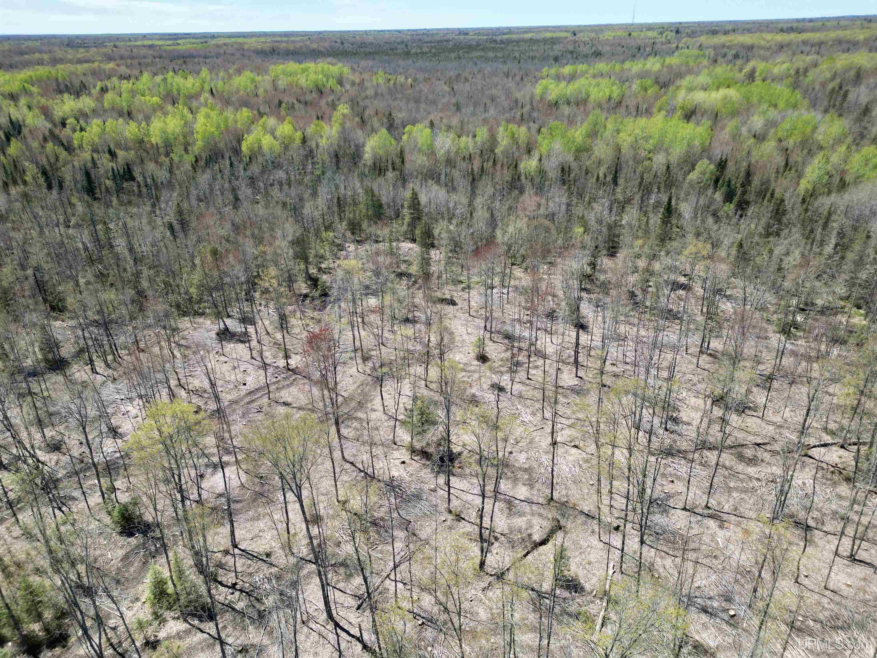 3601 Cr444 Road Rock, MI 49880 - Photo 46 of 78