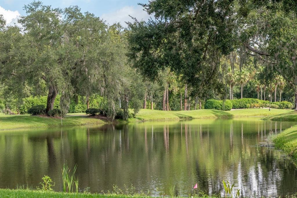 4947 Mill Pond Road, Unit 3104/3106 Wesley Chapel, FL 33543 - Photo 24 of 31