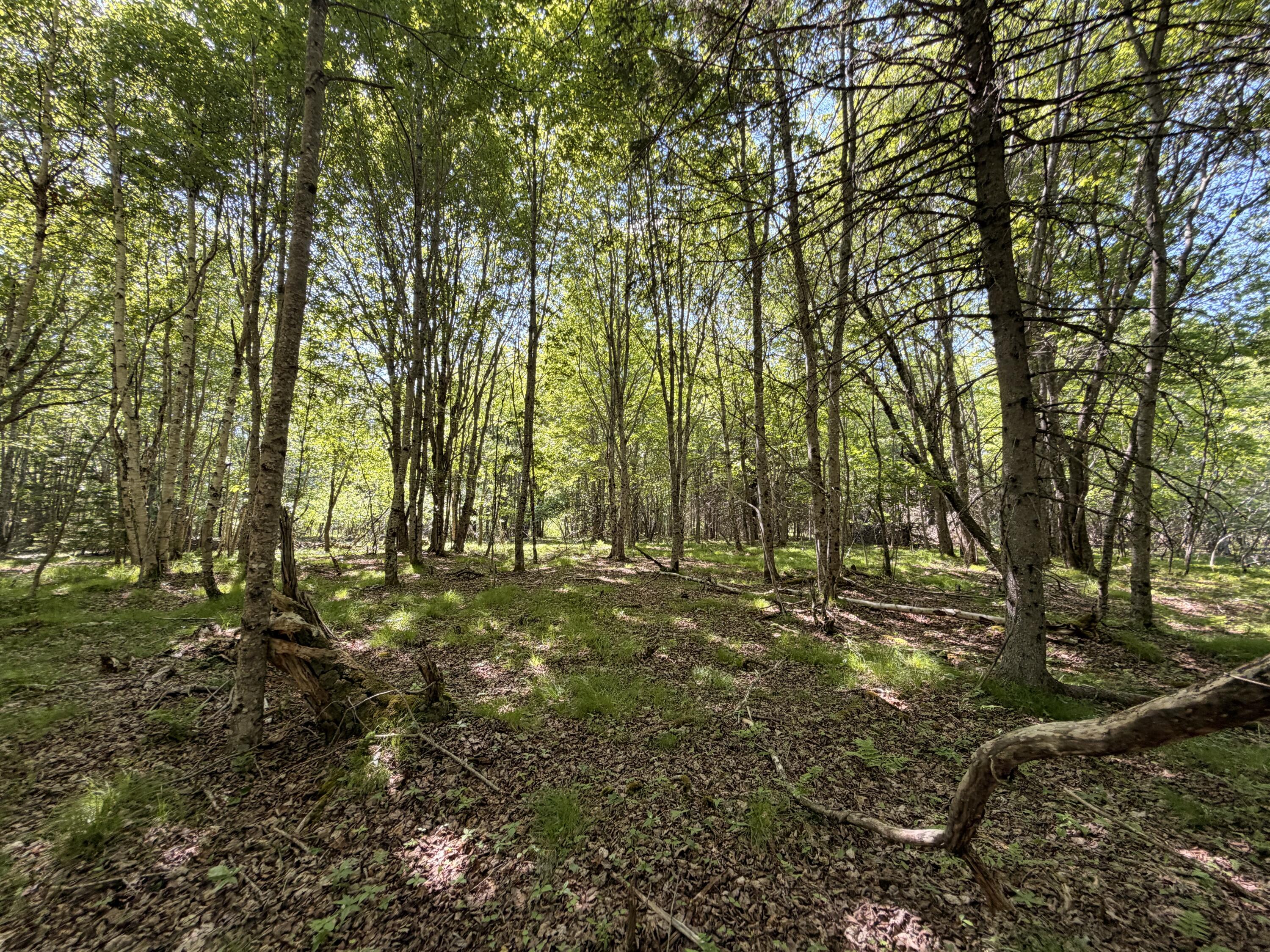 M5-l42 Hooke Road Harrington, ME 04643 - Photo 33 of 33