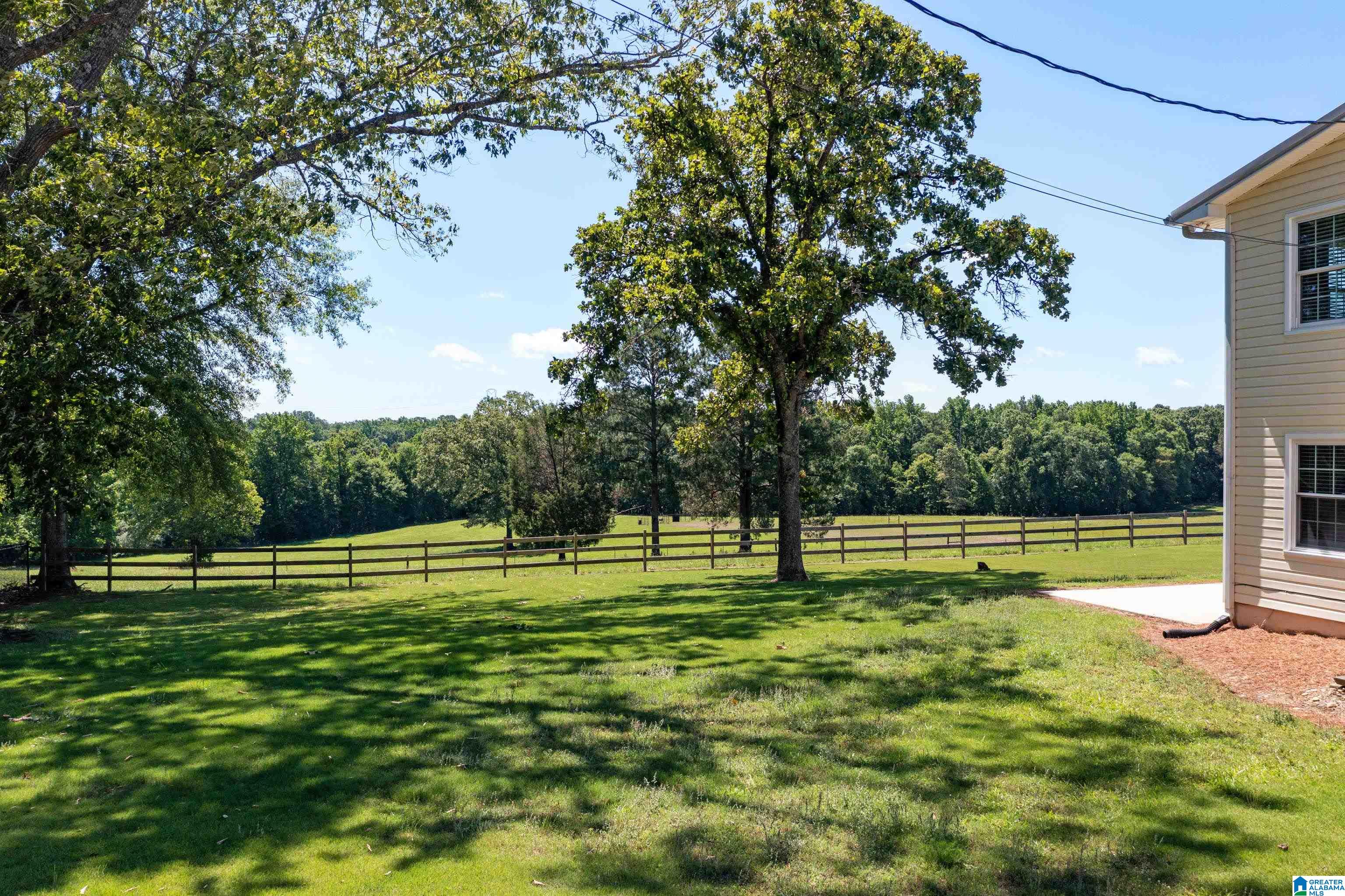 646 Burt Spur Road Brierfield, AL 35035 - Photo 6 of 38