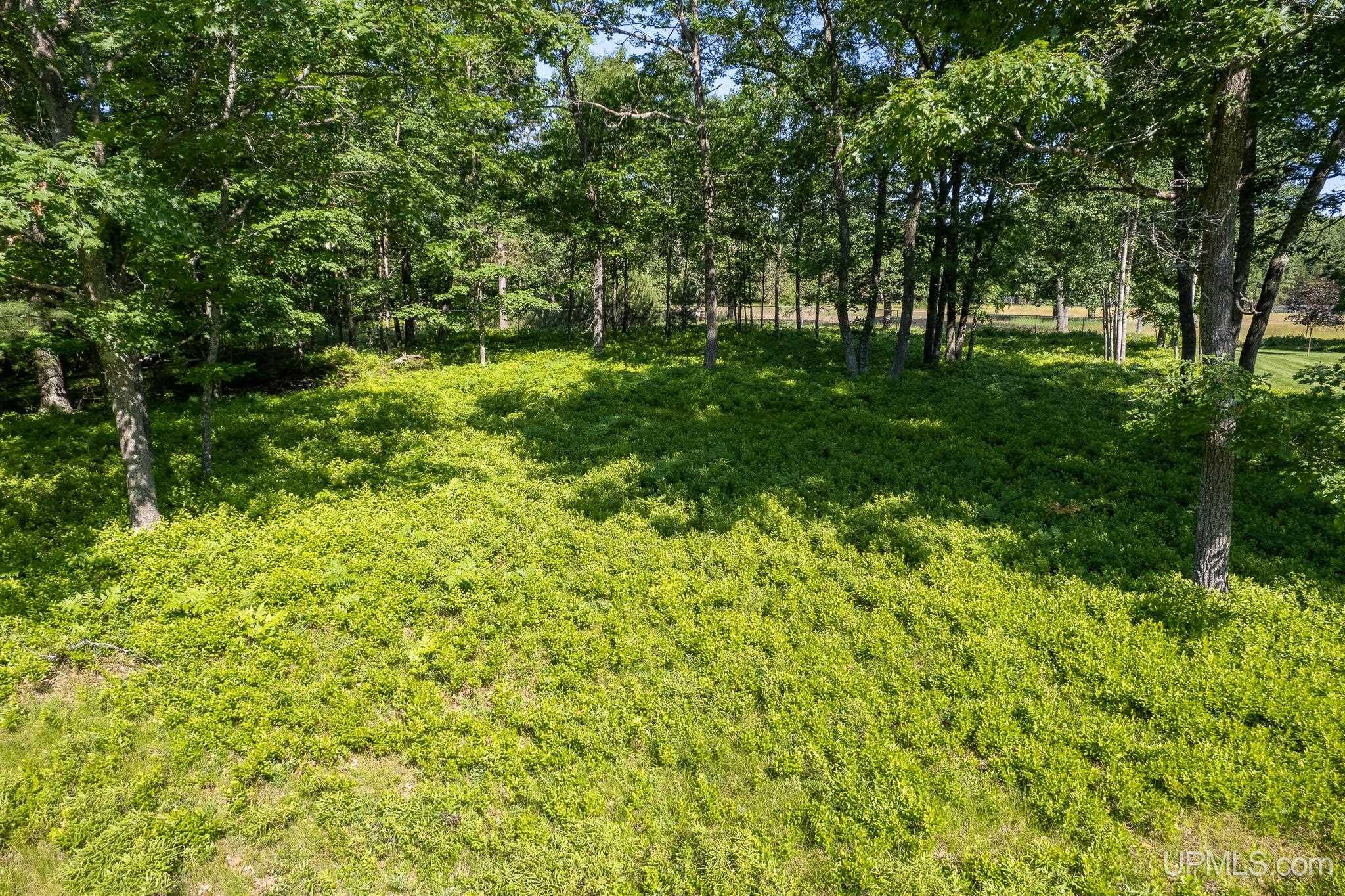 Tbd Tipperary Road Gladstone, MI 49837 - Photo 3 of 18