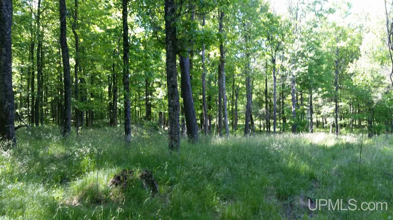 Tbd Off Swan Peterson Road Foster City, MI 49807 - Photo 6 of 18