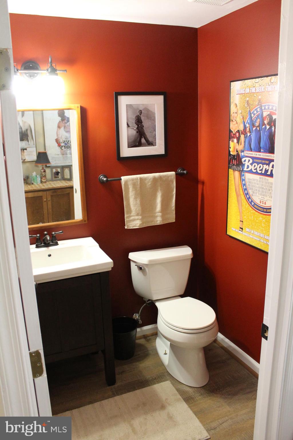 14152 Asher View Centreville, VA 20121 - Photo 20 of 34 Lower level powder room