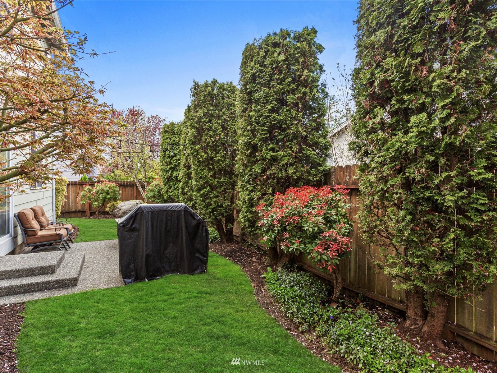 569 Quincy Avenue Northeast Renton, WA 98059 - Photo 27 of 31 Gallery Image 27